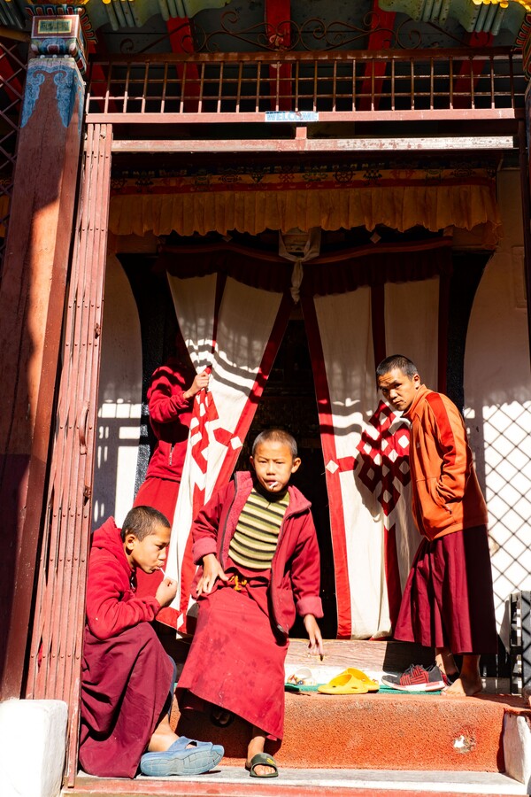 타시라캉 곰파에서 수행하고 있는 천진난만한 동자승들.