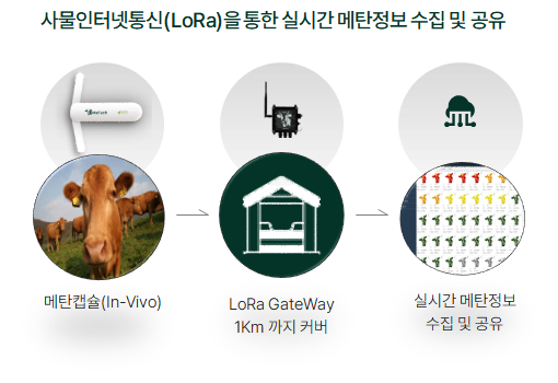 메텍홀딩스가 경구투여형 메탄캡슐을 활용해 지역별 일반 농가와 저탄소 축산농가 탄소배출량을 비교한 메탄가스 배출량 실측 데이터를 공개했다./메텍홀딩스 