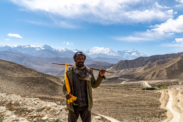 발길이 끊긴 무인지대에서 풀이 있는 산과 골짜기를 찾아 염소를 방목하고 있는 목부.