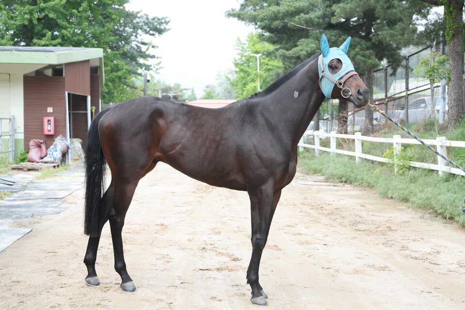 용암세상. /한국마사회 제공