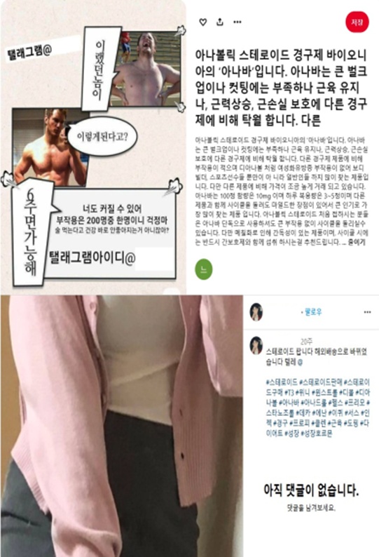 단백동화스테로이드 등 온라인 불법유통 적발 사례. /식품의약품안전처 제공