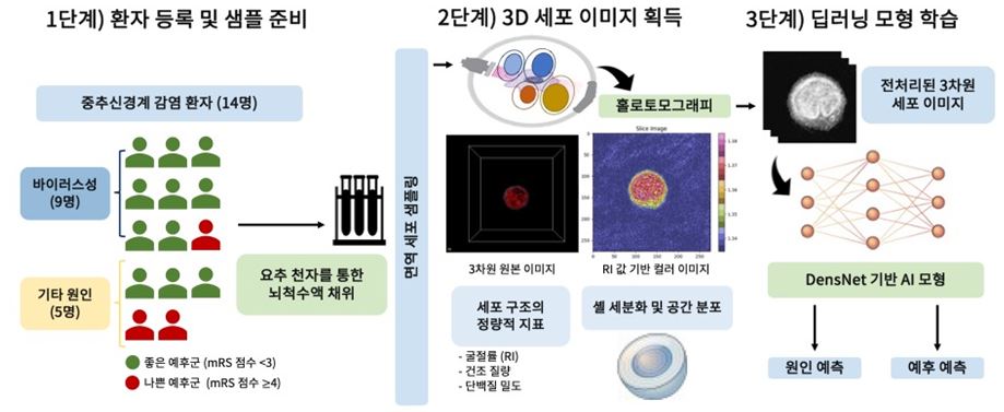 딥러닝 모델 구축 모식도./연세의료원 제공