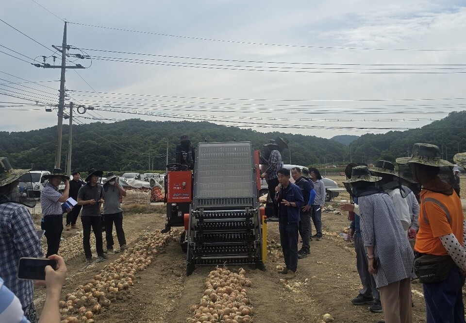 김천시, 힘든 양파 농사 기계로 해결. 사진=김천시 제공
