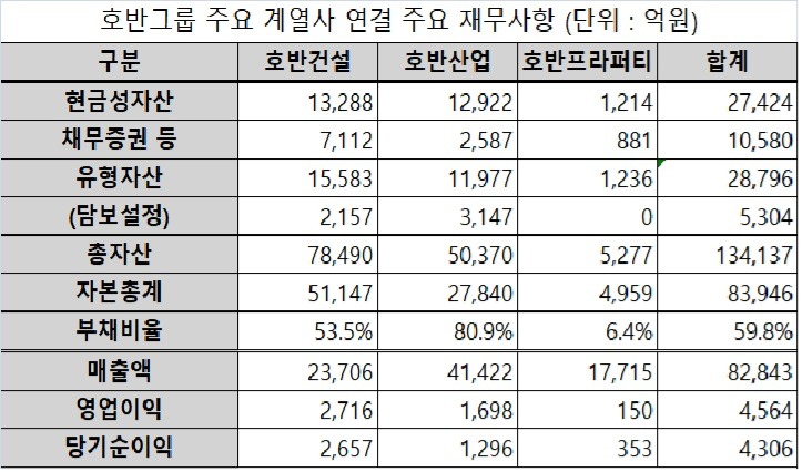 2024년 결산 기준, 유형자산은 투자부동산 포함, 자료=금융감독원, 표=한스경제
