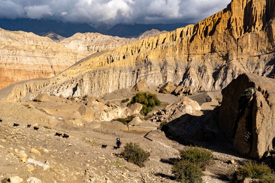 황량한 골짜기 언덕 사면을 염소들이 지나가고 있다.