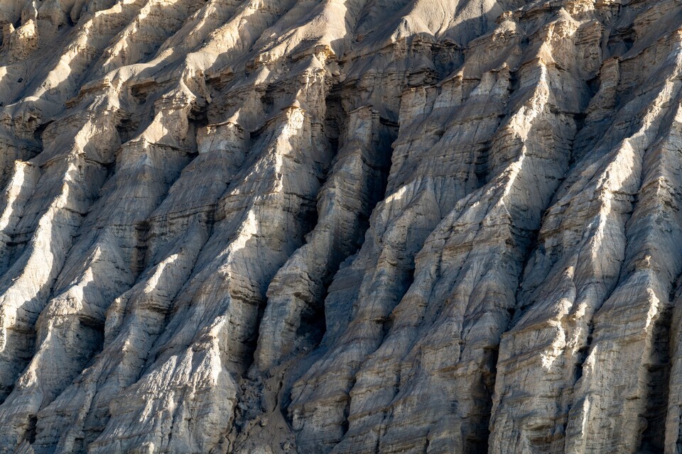 수천만 년 시간과 비바람이 만들어 낸 고목 등걸 모양의 낯설고 괴기한 절벽 사면 풍경.