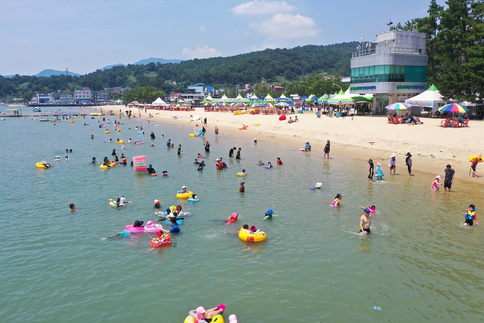 보성군 율포솔밭해수욕장 7월 12일 개장 한다. 사진은 지난해 피서객들이 율포솔밭해수욕장을 찾아서 휴가를 보내는 모습.
