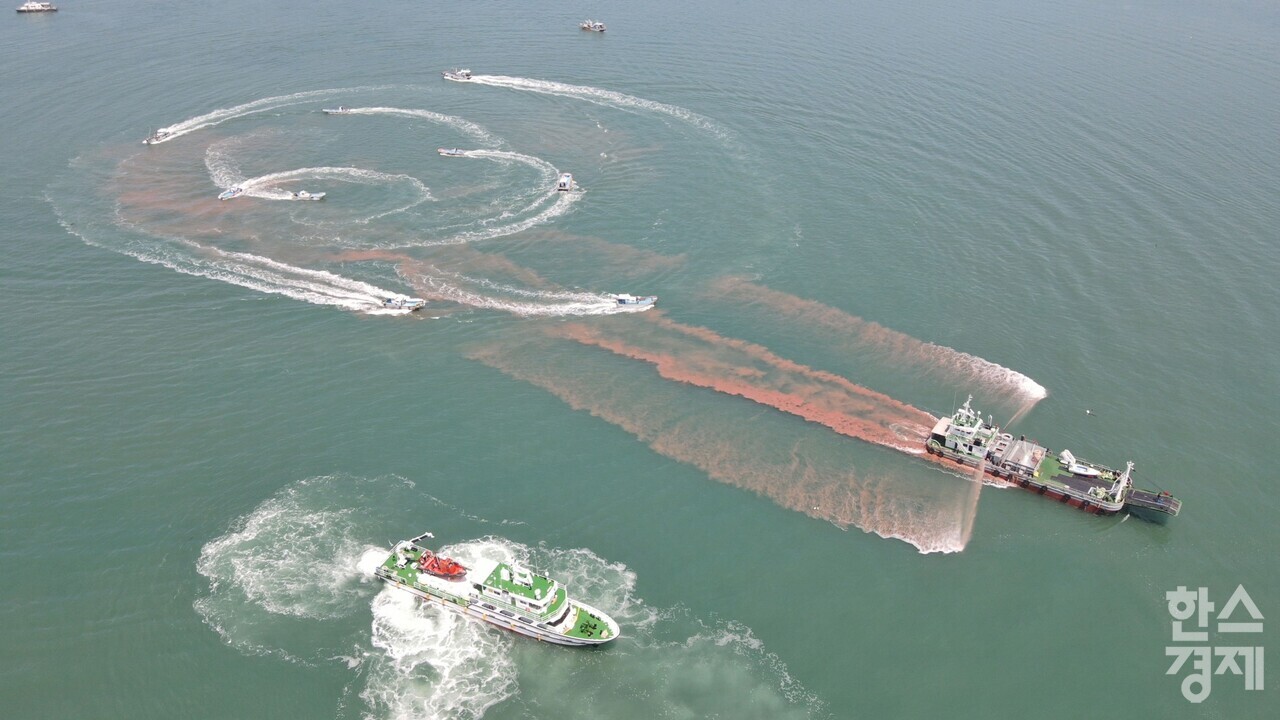 ▲고수온 적조 모의훈련