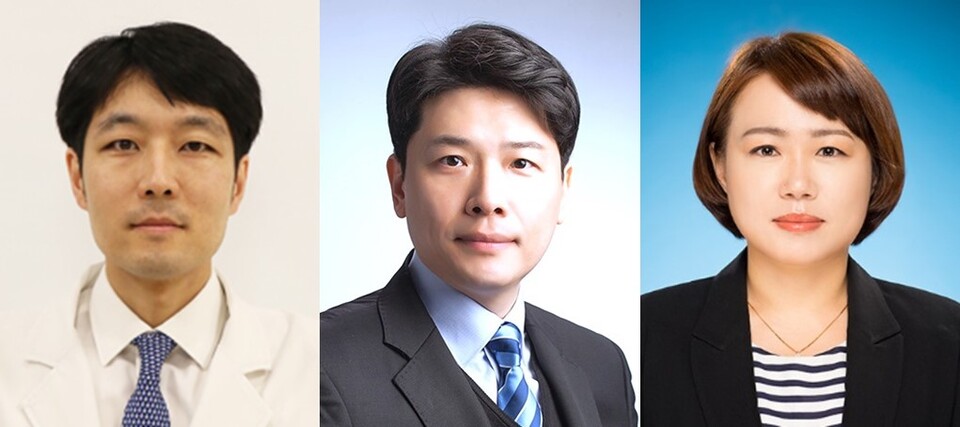 (왼쪽부터) 분당서울대병원 성형외과 정재훈 교수, 호남대학교 강효진 교수, 동국대학교 이주희 교수./분당서울대병원 제공