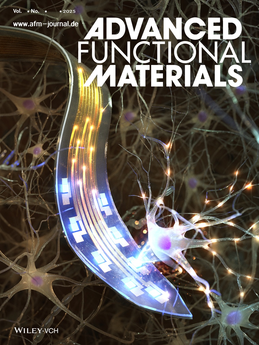 어드밴스드 펑셔널 머터리얼즈(Advanced Functional Materials) 논문지 전면표지 그림. /KAIST 제공
