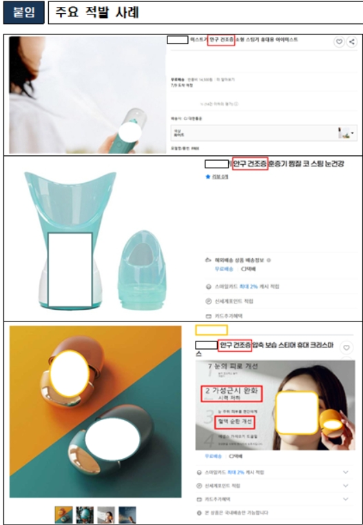 주요 적발 사례. /식품의약품안전처 제공