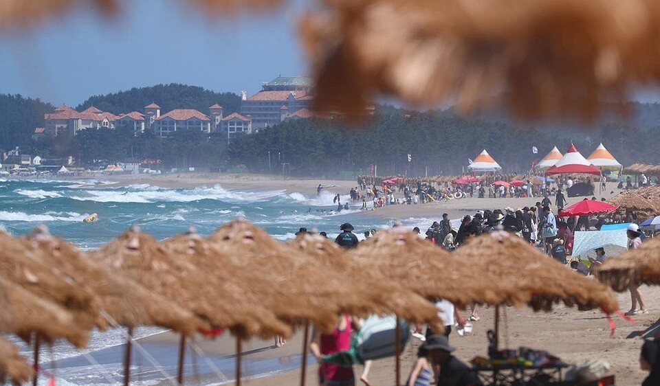 올해 여름휴가를 실시하는 기업들의 평균 휴가 일수가 3.7일로 조사됐다. /연합뉴스