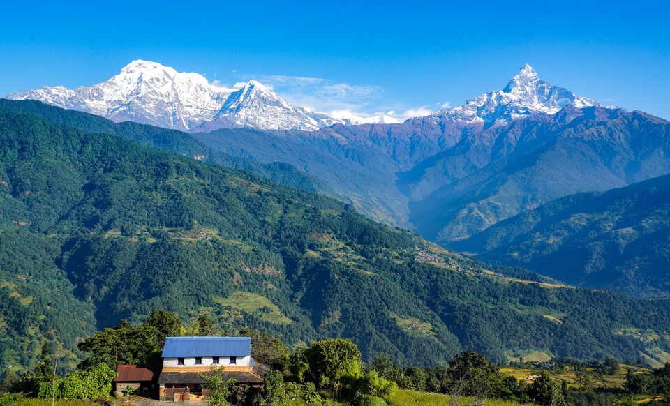 트레킹 내내 오른쪽으로 마차푸차레와 안나푸르나, 히운출리 등 만년설산이 어깨동무하며 따라온다.