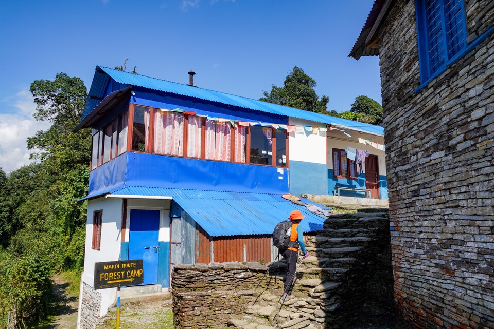 트레커가 포레스트캠프 가는 길목의 롯지 사이로 난 계단 길을 오르고 있다.