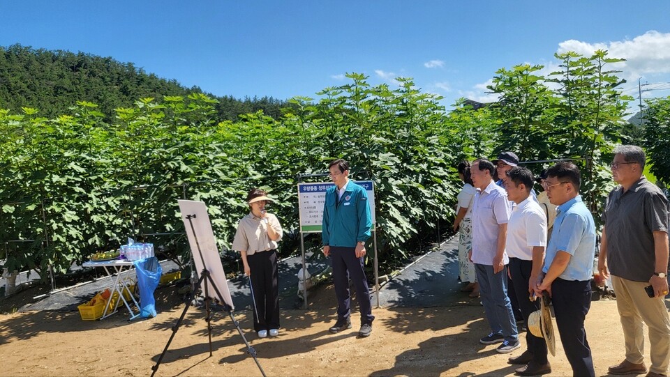 우승희 군수가 청무화과 실증농가를 방문 현황설명을 듣고 있다. /사진=영암군