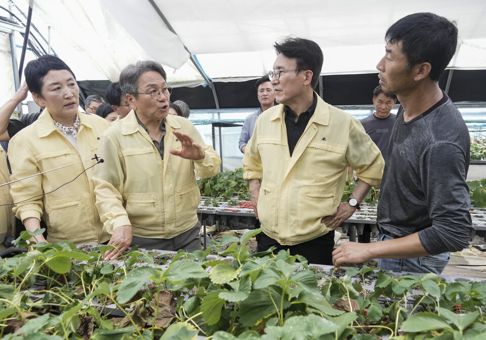 강기정 광주시장이 20일 오전 김민석 국무총리와 폭우 침수 피해 지역인 북구 용강동 하신마을 딸기재배 시설하우스를 살펴보고 있다. /사진=광주시