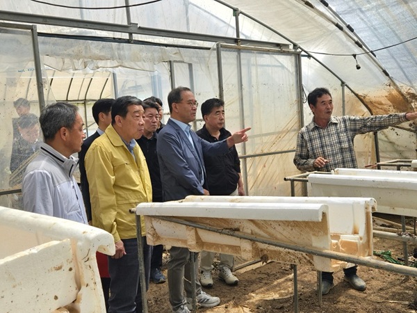 이찬우 NH농협금융지주 회장이 21일, 충남 홍성군 침수 피해를 입은 딸기 농가를 찾아 농업인의 피해 현황과 애로사항을 청취하고 있다. /NH농협금융 제공 