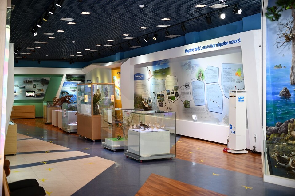 신안군은 흑산도에 위치한 ‘신안철새박물관’과 자은도 해변에 들어선 ‘신안자생식물뮤지엄’이 「박물관 및 미술관 진흥법」에 따라 공립 1종 전문박물관으로 공식 등록되었다. 사진은 신안철새박물관 내부 전시 공간./사진=신안군