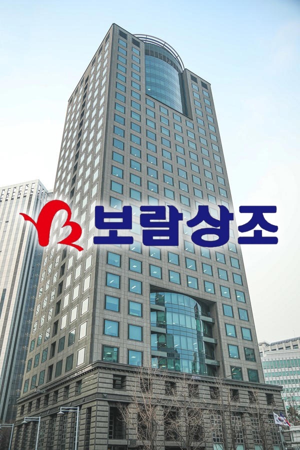 / 사진·CI=보람그룹, 그래픽=이채연 기자