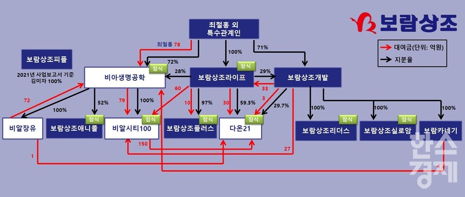 2024년 감사보고서 기준 보람상조 대여금 현황 및 지분율 중 일부 / CI=보람그룹, 그래픽=이채연 기자