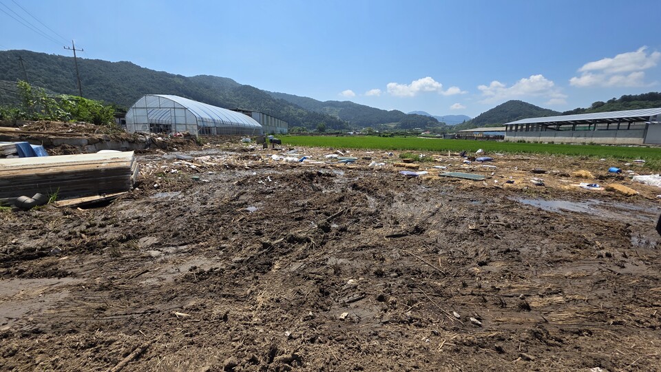 한 농민은 “올해 수확은 물 건너갔다”며 허탈한 표정을 지었다./ 김두일 기자