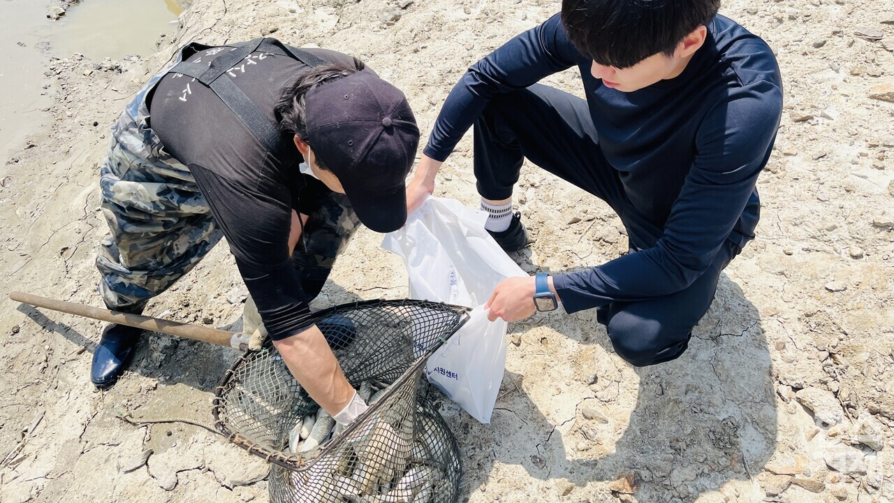 ▲수산물 안전성검사 시료수거 (사진=인천시)