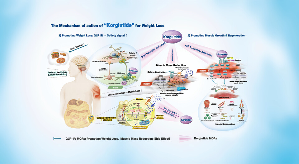 코글루타이드 작용 기전./케어젠 제공