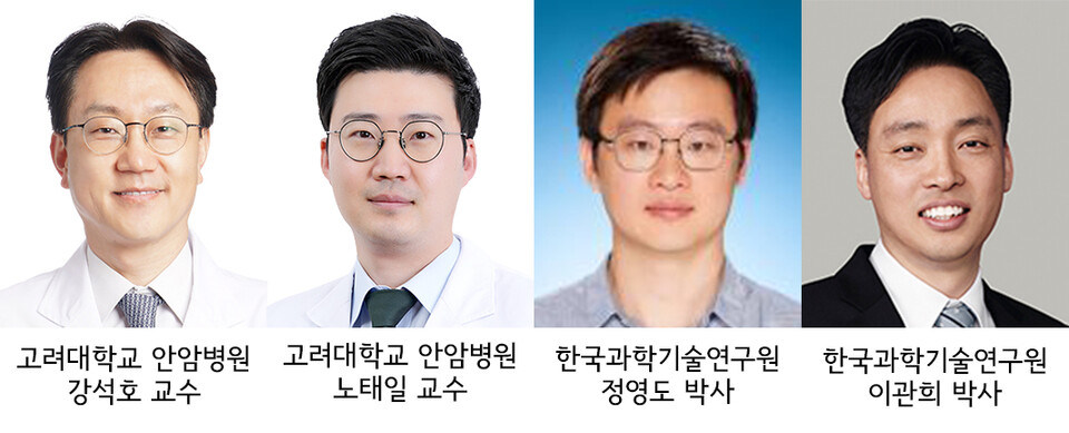 고려대학교 안암병원 강석호, 노태일 교수, 한국과학기술연구원 정영도, 이관희 박사./고대 안암병원 제공