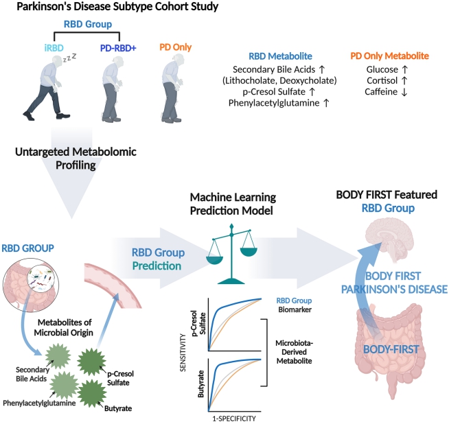 렘수면행동장애(RBD) 유무에 따른 파킨슨병 하위 유형 대사체 프로파일./서울대병원 제공