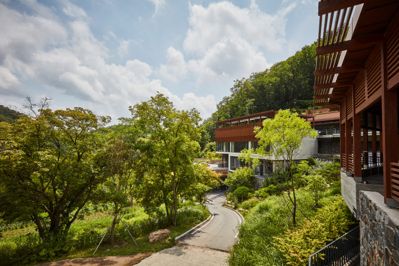 선마을 여름 전경. /선마을 제공