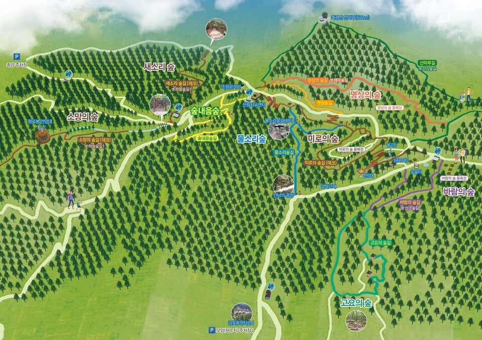 새로 제작된 장성군 축령산 편백숲 리플릿 /사진=장성군