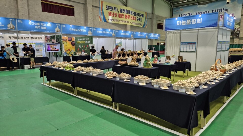 ‘제1회 한국 마늘 산업 박람회’ 영천에서 첫 개최. 사진=영천시 제공