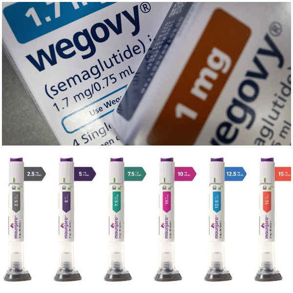 위고비, 마운자로. /연합뉴스, 한국릴리