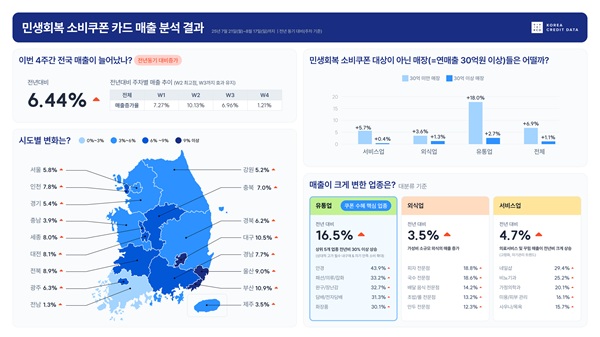 민생회복 소비쿠폰 카드 매출 분석 결과. /한국신용데이터 제공