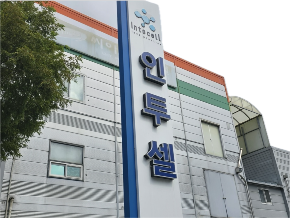 인투셀. /인투셀 제공