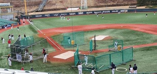 울산 문수구장. /연합뉴스