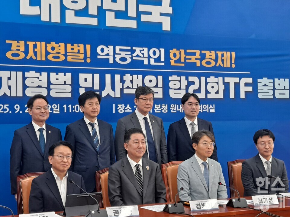 2일 국회에서 열린 더불어민주당 '경제형벌 민사책임 합리화 TF' 출범식에서 TF위원들이 기념사진을 찍고 있다./김현경 기자