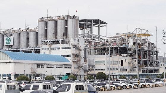 LG화학 여수공장 전경./ 연합뉴스 제공
