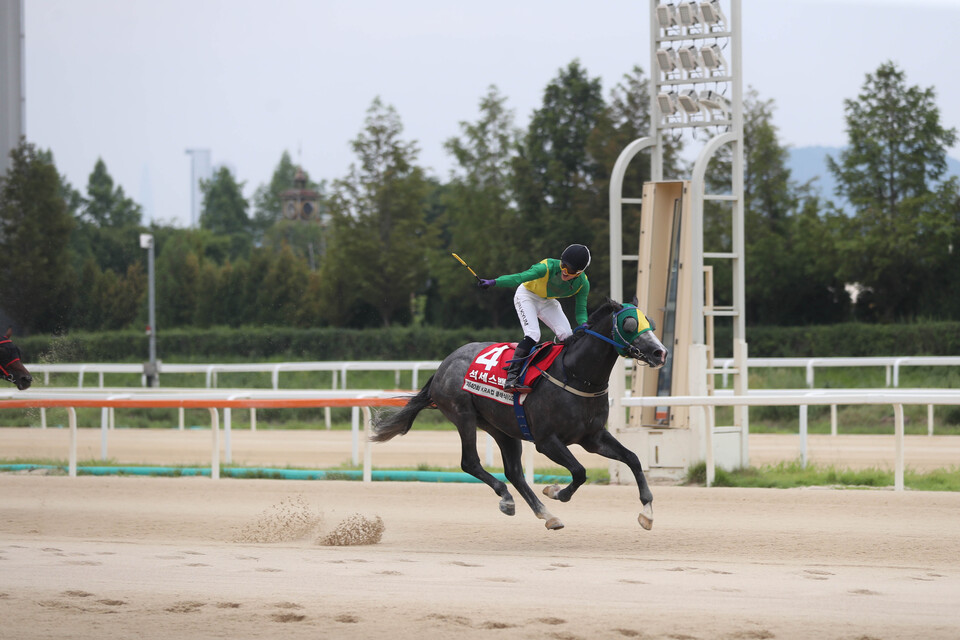 석세스백파. /한국마사회 제공