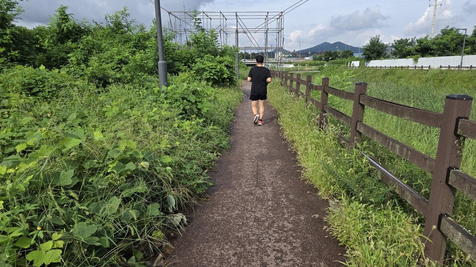 김모 씨(43)는 “풀이 다리에 닿아 상처가 나거나 진드기에 물릴까 두렵다”며 “아이들과 걷기조차 위험하다”고 말했다./ 김두일 기자