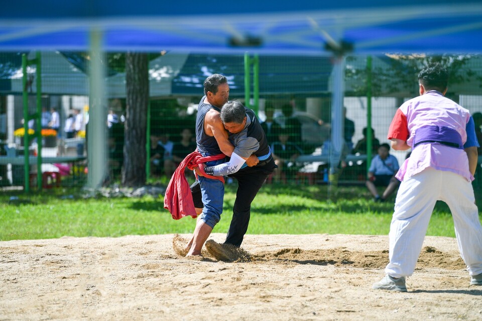 씨름경기. 사진=영주시 제공