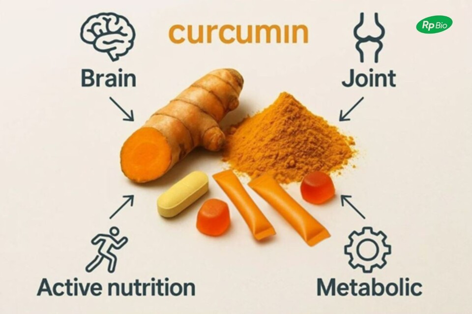 알피바이오가 ‘커큐민(강황추출물)’을 축으로 한 건강기능식품 포트폴리오 다각화 전략에 나선다. /알피바이오 제공