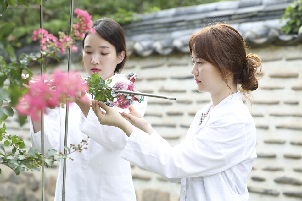 코스맥스 제공./