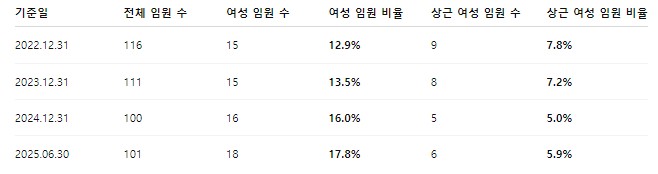 국내 4대 금융지주의 임원 현황. / 각 금융지주사 사업보고서