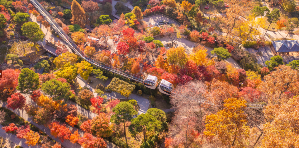 화담숲이 10월 24일부터 11월 16일까지 2025년 가을 단풍 축제를 개최한다. /곤지암리조트 제공