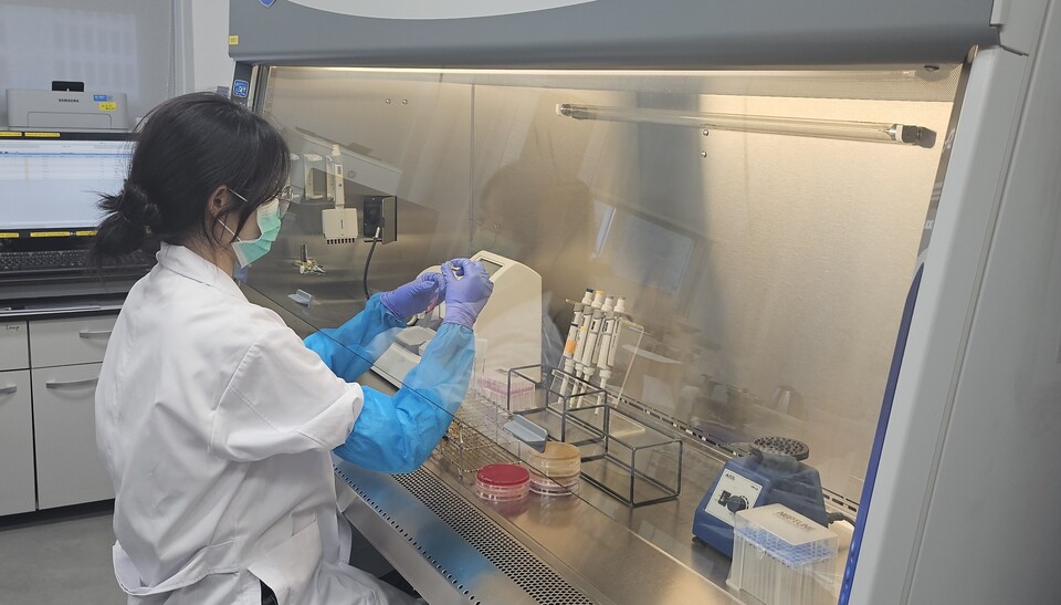 추석연휴 비상대응체계. 사진=대구시 제공