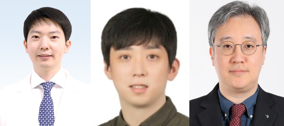 (왼쪽부터) 분당서울대병원 내분비대사내과 문준호 교수, 고려대학교 의과대학 정석송 교수, 서울특별시보라매병원 김원 교수./각 병원 제공