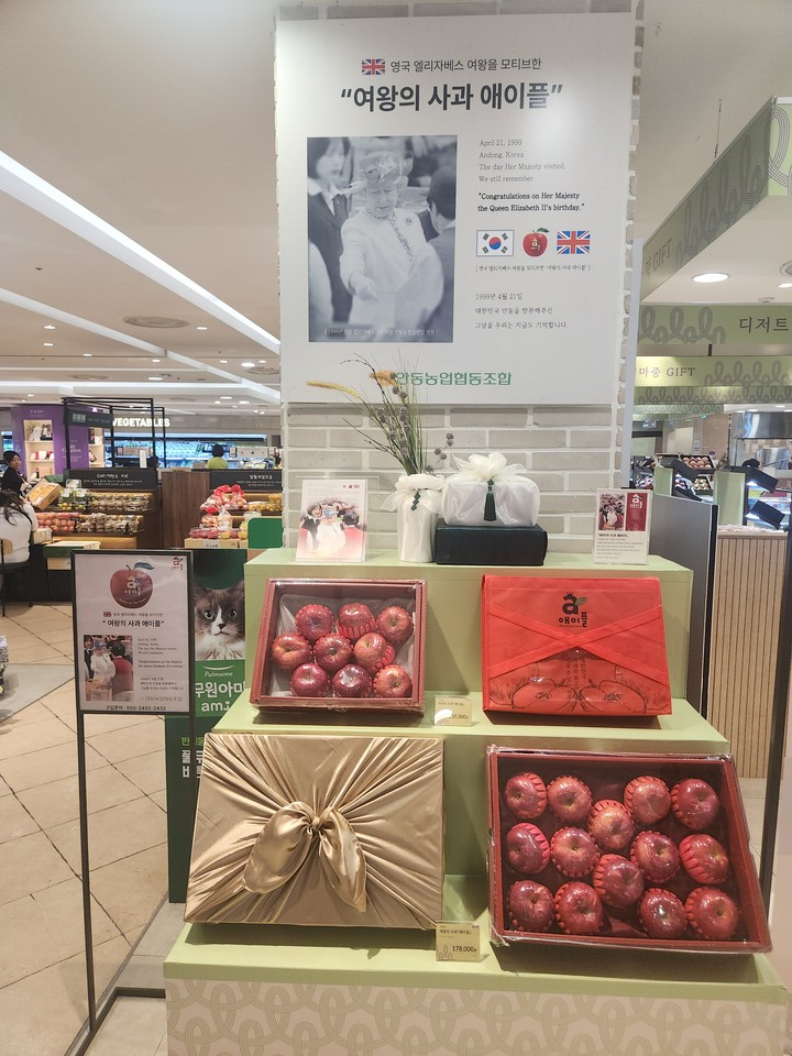 안동농협의 여왕의 사과 애이플’이  롯데백화점 상인점에서 소비자 판매 시작.  사진=안동농협 제공 