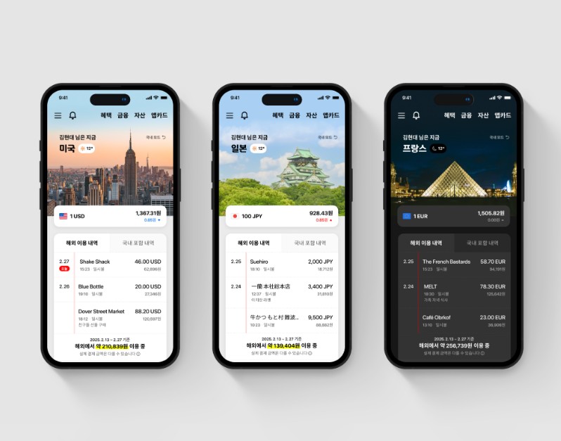 전 세계 206개 국가에서 맞춤형 기능을 제공하는 '해외모드' 서비스. / 현대카드 제공