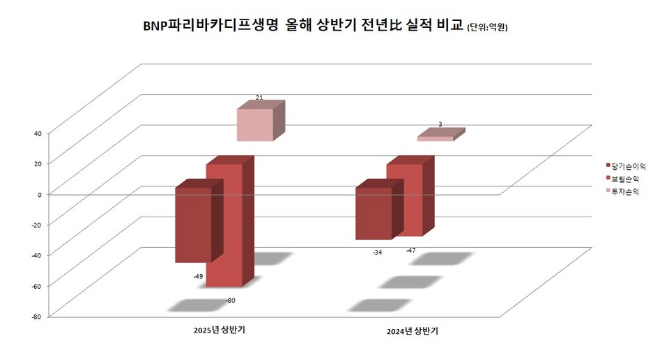 BNP파리바카디프생명 올해 상반기 전년比 실적 비교. 그래프=이지영 기자